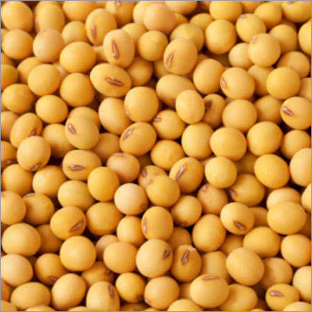 Soya Bean Organic Carrier Oil